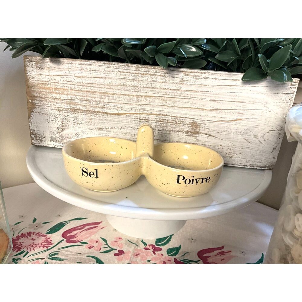 Vintage French porcelain double salt and pepper dish French writing must see
